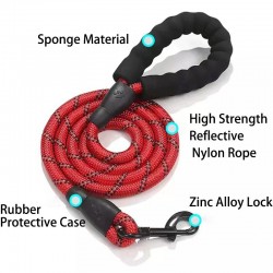 Harness Leash