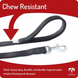 Pet Conventional Leash
