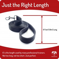 Conventional Leash