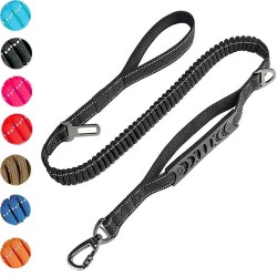 Pet Reflective Nylon Leash