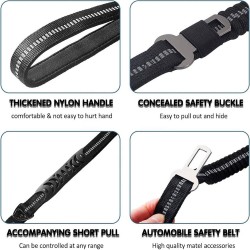 Nylon Leash