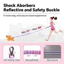 Dog Nylon Leash