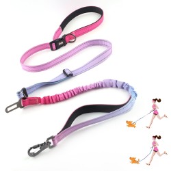 Multifunctional Dog Nylon Leash