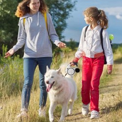 Illuminate Leash