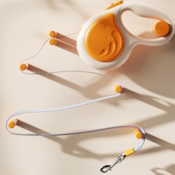 Reflective Leash