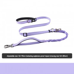Pet Running Leash