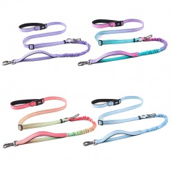 Custom Pet Running Leash