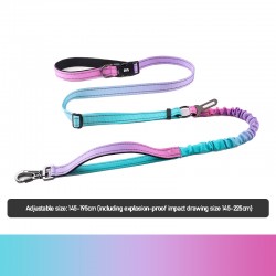 Running Leash