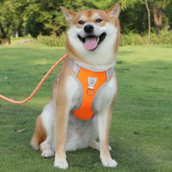 Pet Nylon Durable Leash