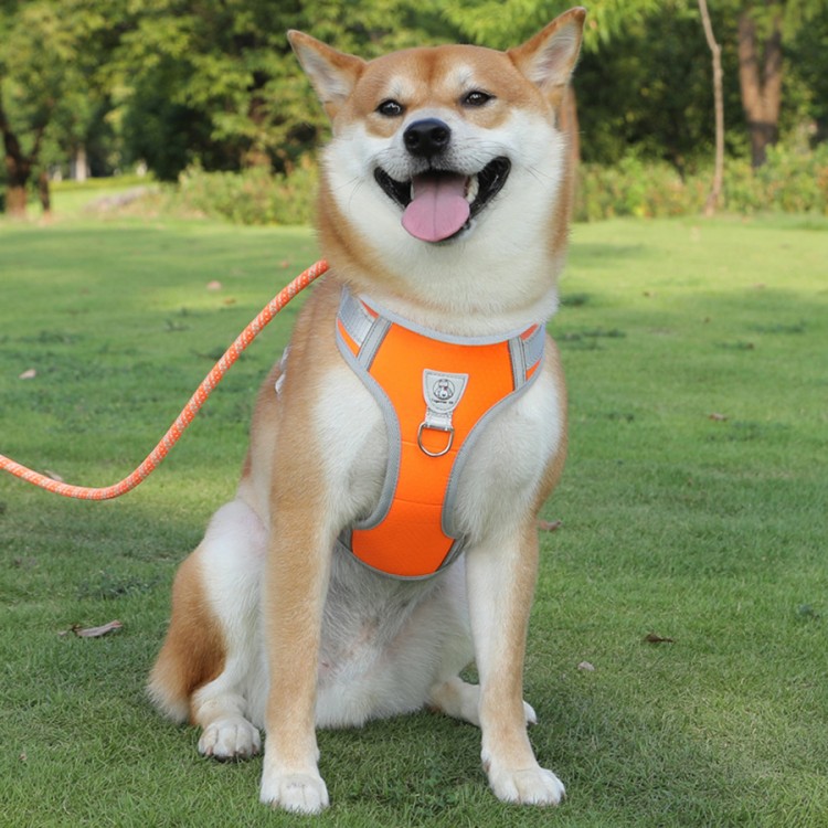 Pet Nylon Durable Leash Pet Nylon Durable Leash