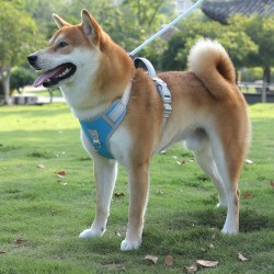 Nylon Durable Leash
