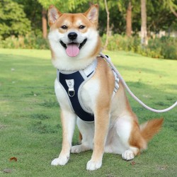 Durable Leash