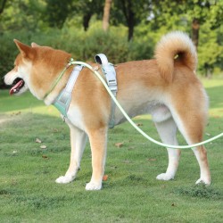 Pet Nylon Durable Leash Pet Traction Rope Explosion-proof Flush Out Nylon Woven Dog Traction Belt P Rope for Dog and Cat