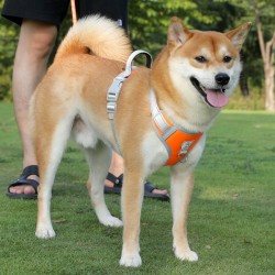 Pet Nylon Durable Leash Pet Traction Rope Explosion-proof Flush Out Nylon Woven Dog Traction Belt P Rope for Dog and Cat