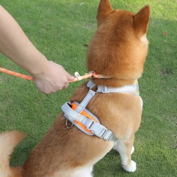 Pet Nylon Durable Leash Pet Traction Rope Explosion-proof Flush Out Nylon Woven Dog Traction Belt P Rope for Dog and Cat