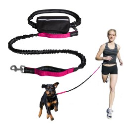 Dog Running Hands-Free Leash
