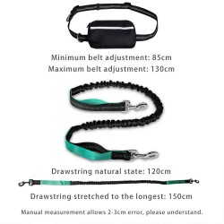 Dog Running Hands-Free Leash Waist Jogging Belt Retractable Bungee Reflective Pet Dog Leash Set