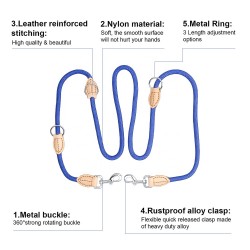 Training Leash
