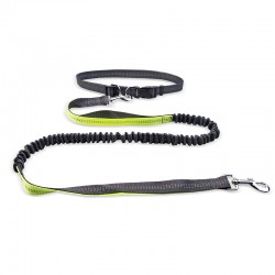 Adjustable Dog Nylon Leash