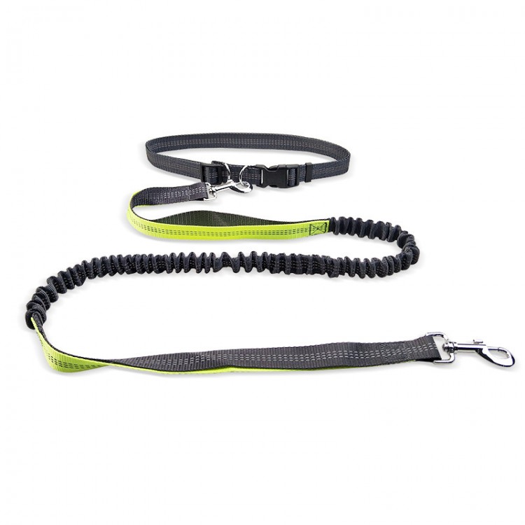Adjustable Dog Nylon Leash Adjustable Dog Nylon Leash