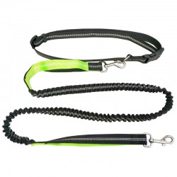 Dog Nylon Leash