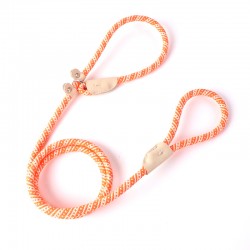 Durable Leash