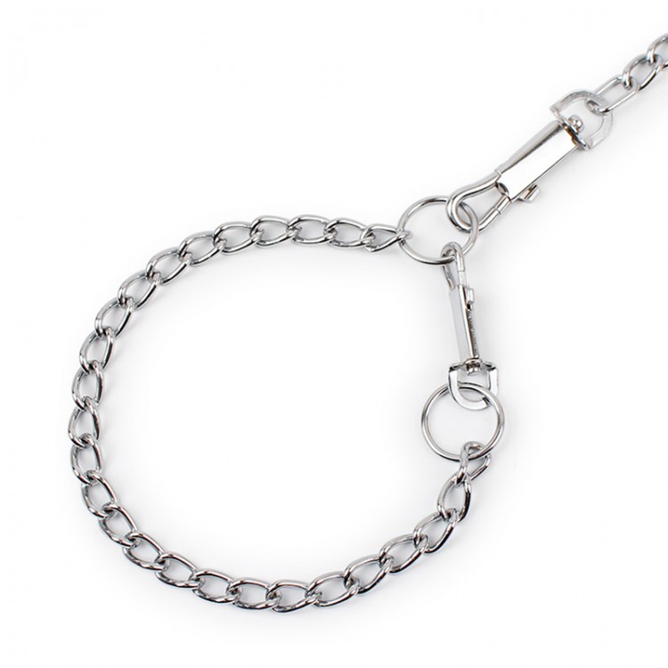 Dog Stainless Steel Leash Dog Stainless Steel Leash