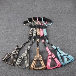 Leash Harness