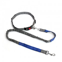Dog Running Retractable Leash