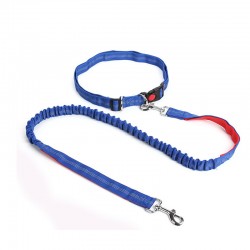 Running Retractable Leash