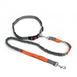 Dog Running Retractable Leash Collar Professional Harness Reflective Adjustable Walking Belt Hands Free Dog Leash