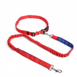 Retractable Leash