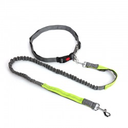 Dog Running Retractable Leash Collar Professional Harness Reflective Adjustable Walking Belt Hands Free Dog Leash