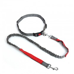 Dog Running Retractable Leash Collar Professional Harness Reflective Adjustable Walking Belt Hands Free Dog Leash