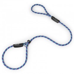 Custom Dog Nylon Leash