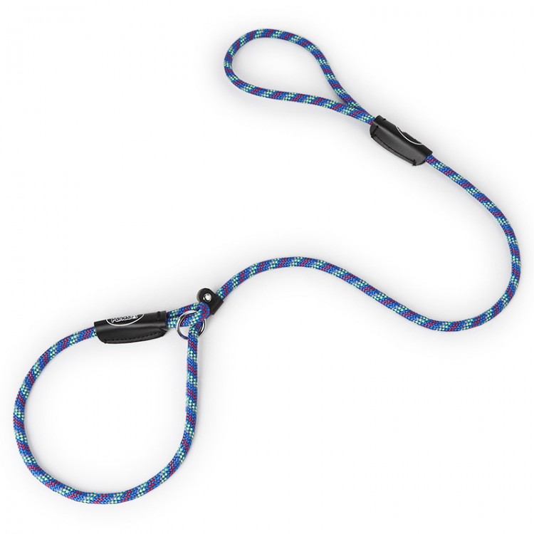 Custom Dog Nylon Leash Custom Dog Nylon Leash