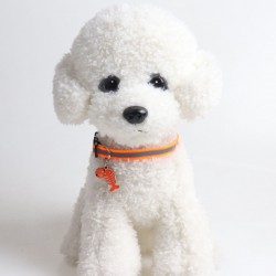 Luminous Flashing Collar