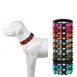 Dog Nylon Collar