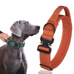 Adjustable Dog Nylon Collar