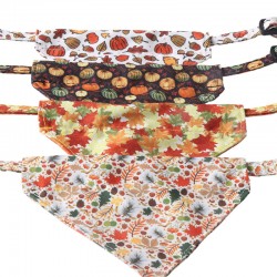 Colourful Collar