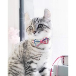 Custom Pet Multi-Color Collar Bow Tie Dog Collar Bells Soft Adjustable Cute Puppy Cat for Girl Breakaway Buckle Collar