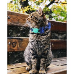 Custom Pet Multi-Color Collar Bow Tie Dog Collar Bells Soft Adjustable Cute Puppy Cat for Girl Breakaway Buckle Collar