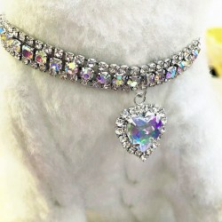 Cat Water-Drop Rhinestone Collar for Cats and Dogs Neck Accessories Pendant Anti-loss Crystal Pet Collar