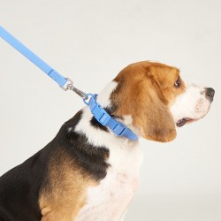 Rubber Collar