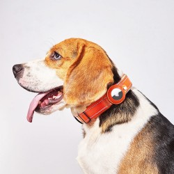 Wholesale Dog Tracker Collar