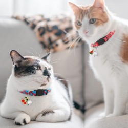 Pet Fruit Print Collar Fruit Bell Anti-choking Safety Buckle Adjustable Small and Medium-sized Dog and Cat Collar
