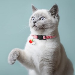 Pet Fruit Print Collar Fruit Bell Anti-choking Safety Buckle Adjustable Small and Medium-sized Dog and Cat Collar