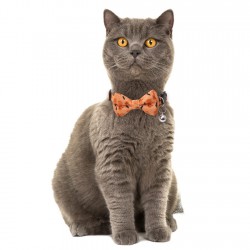 Pet Halloween Pumpkin Collar Bow Tie With Bell Nylon Solid Pattern for Dogs Cats Collar