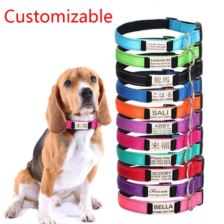 Dog Nylon Engraved Collar Dog Nylon Engraved Collar