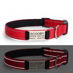 Dog Nylon Engraved Collar Reflective Padded Personalized Dog With Name Plate Customized Pet Collars